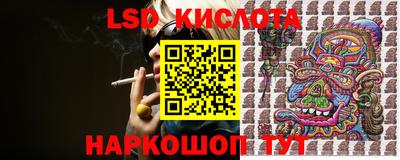 мяу мяу мука Гатчина