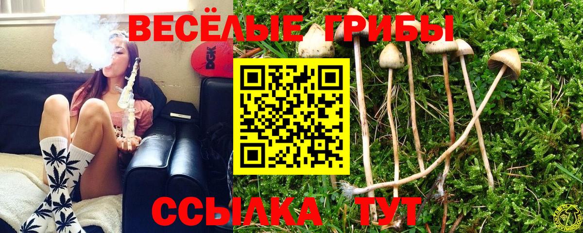 Псилоцибиновые грибы Cubensis  Галлюциногенные грибы мухоморы  Старая Русса  наркота  Вход с VPN 